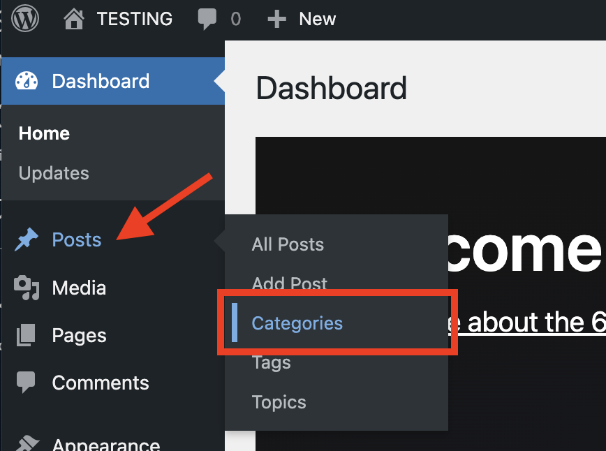 Wordpress admin, arrow pointing to 'Posts', red box around 'Categories' 